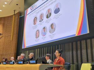 Opening ceremony UN